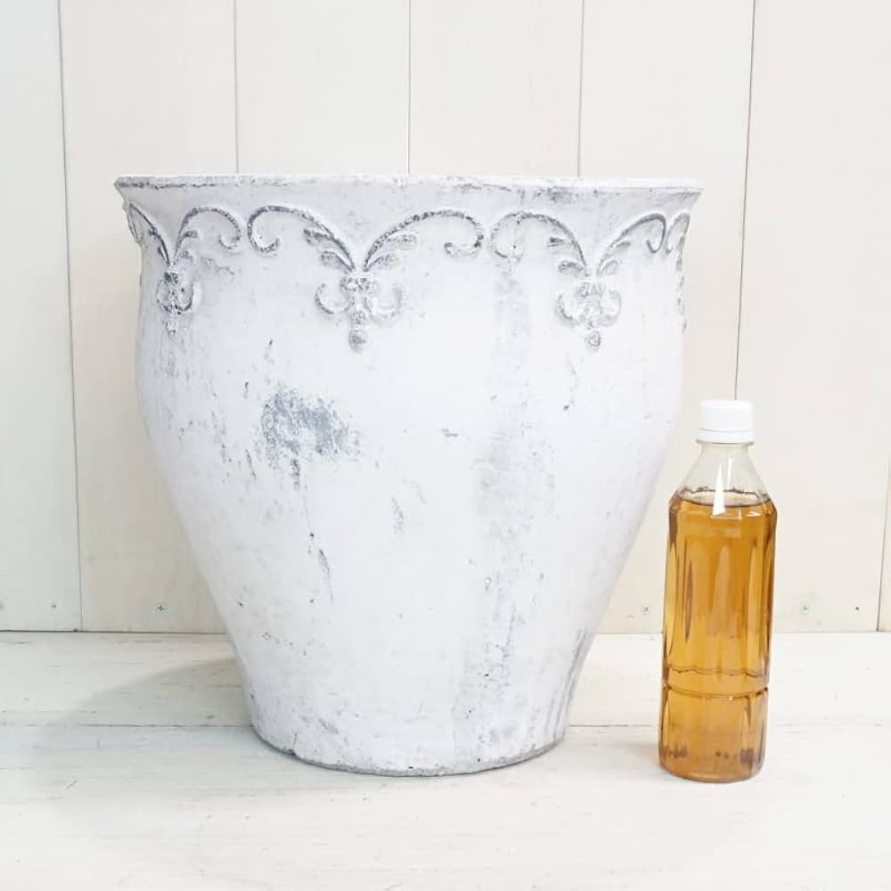 アンティーク鉢 Amazon | 植木鉢 おしゃれ アンティーク 陶器鉢 ブランシェ